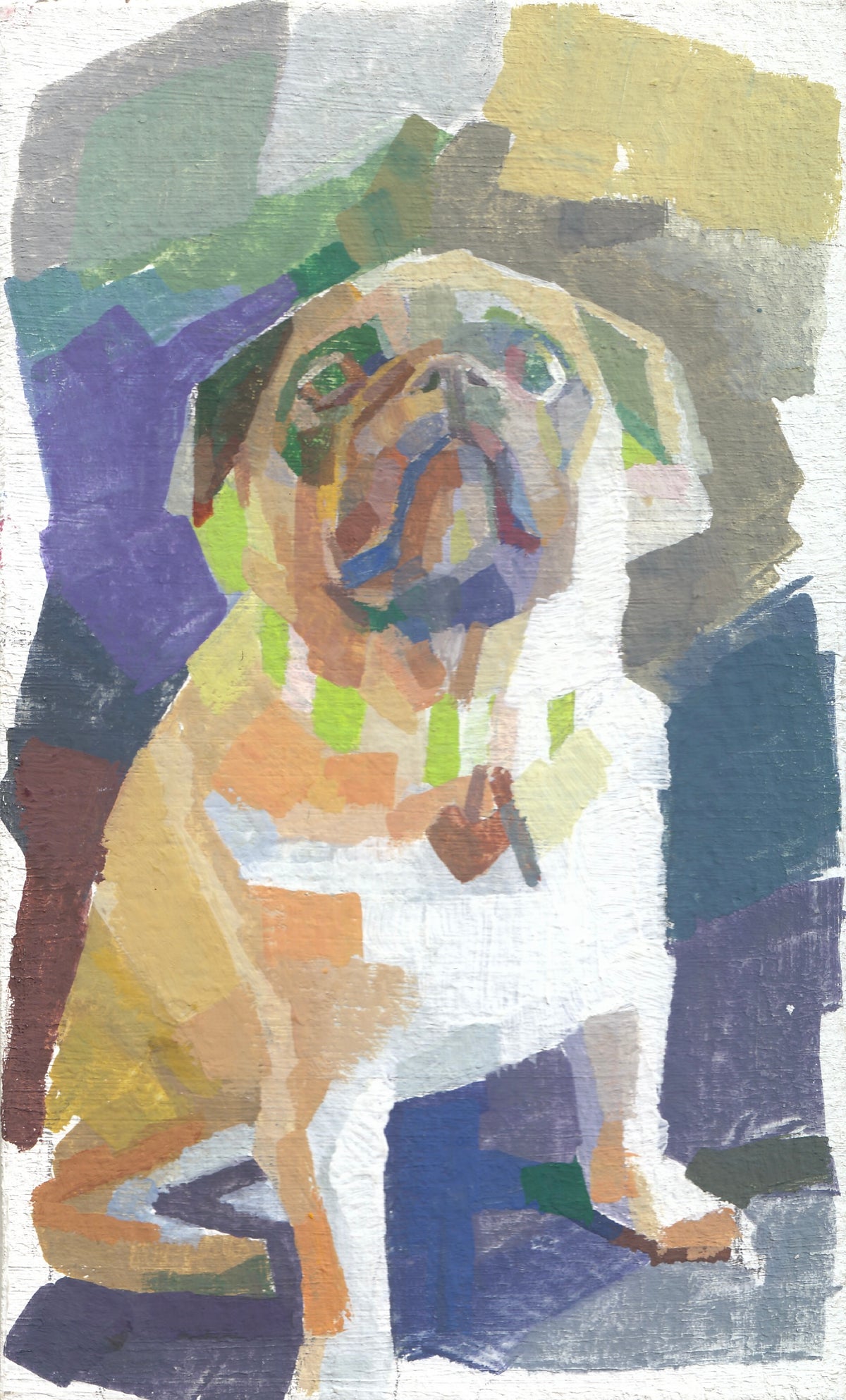 Purple Pug